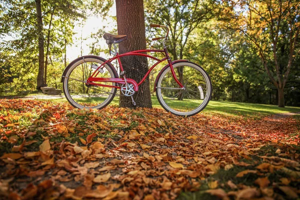 Old bike leaning against a tree — Stock Photo, Image