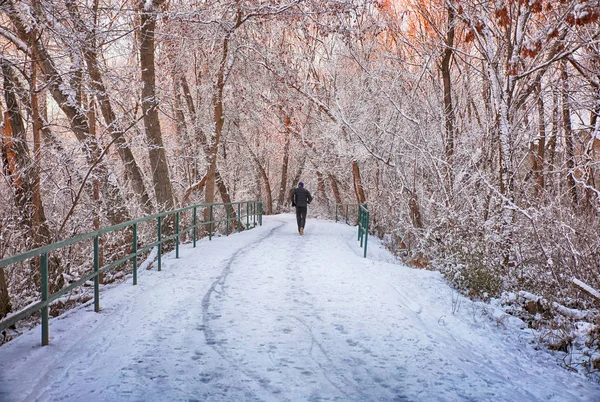 A man jogging down a snowy path in park — Stock Photo, Image
