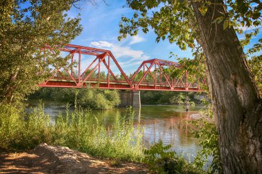 bir güzel park nehir ve bir tren sehpa köprü