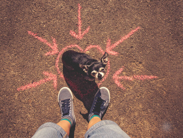 a cute chihuahua sitting next to his owner's feet on an old sidewalk with a chalk heart and arrows on a sunny day, toned with a retro vintage instagram filter 