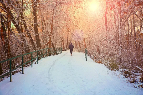 A man jogging down a snowy path in a local park with trees linin — Stock Photo, Image