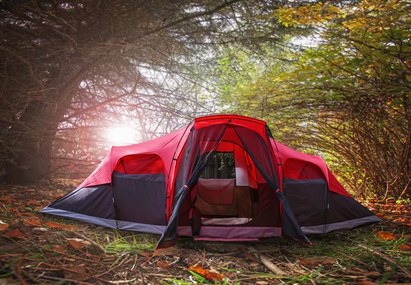 Uma grande árvore cheia de folhas prontas para cair em um dia brilhante de outono em um ambiente natural com o sol para trás e uma barraca na frente — Fotografia de Stock