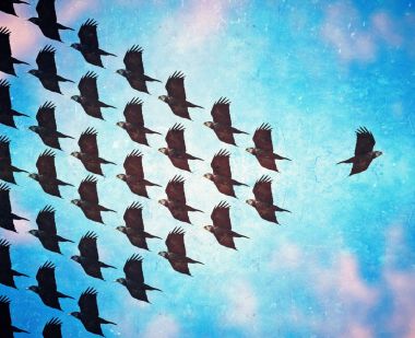 tam tersi şekilde sürünün geri kalanı uçan bir kuş bir retro vintage instagram filtre uygulama veya eylem etkisi ile dokulu kağıt - kalabalık kavramı karşı ya da farklı tonda