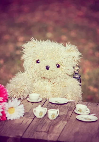 Urso Pelúcia Bonito Ter Uma Festa Chá Quintal Durante Verão — Fotografia de Stock