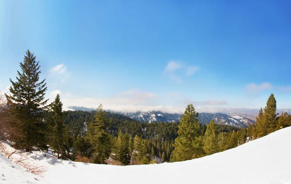Ośrodek Narciarski Fałszywe Podstawy Boise Idaho Nad Miastem Zimą — Zdjęcie stockowe