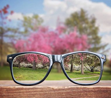 hipster gözlük bir park bankında veya tablo içinde belgili tanımlık geçmiş güzel, pembe bir ağaç üzerinde