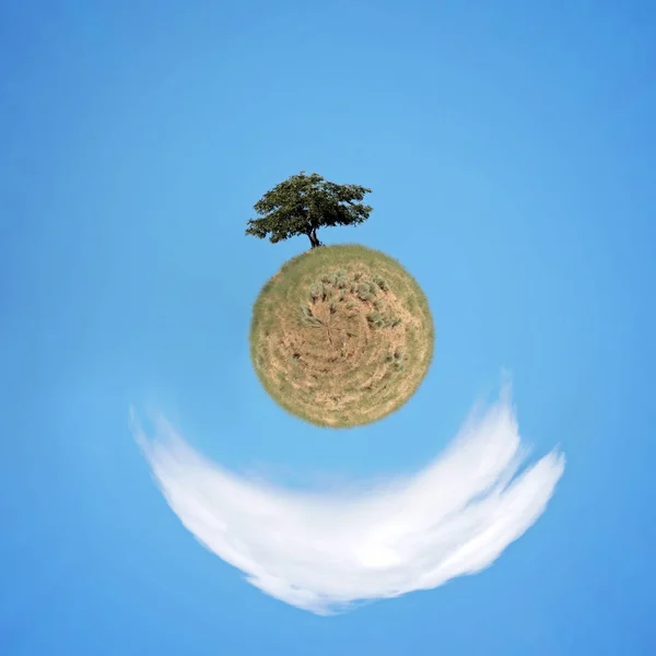 一棵孤零零的树在一座有蓝天的小山上 在一个阳光明媚的夏日里 在一个球体世界里 一朵白云落下 — 图库照片