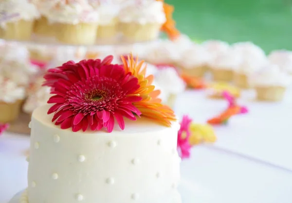 Autentyczne zdjęcie candid piękny tort weselny i inne wypieki na stole przed recepcją stonowanych się z filtrem ciepłe retro vintage instagram — Zdjęcie stockowe
