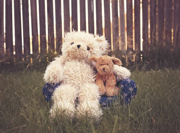 Teddy bear on a couch with arm around a stuffed pet dog toned with a retro vintage instagram filter — Stock Photo, Image