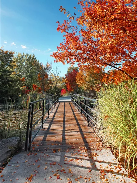 Όμορφη ημέρα πτώσης σε ένα πάρκο με μια γέφυρα πέρα από μια λίμνη lilly μαξιλάρι που καλύπτεται — Φωτογραφία Αρχείου