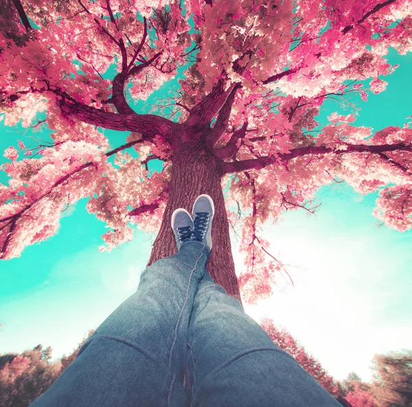 Niedriger Weitwinkel einer Person, die ihre Füße auf einem Baumstamm ruht, getönt mit einem Retro-Vintage-Instagram-Filter — Stockfoto