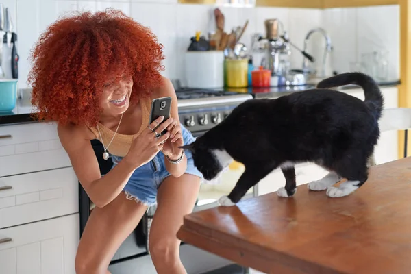 Vrouw nemen van foto 's van kat — Stockfoto