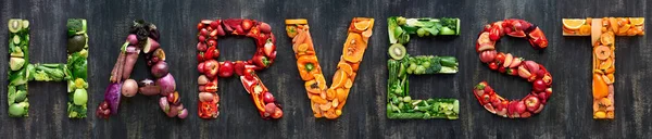 Assortiment de légumes et fruits — Photo