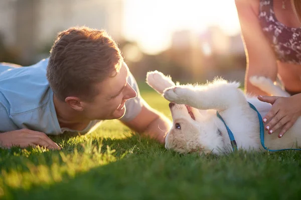 Paar spelen met puppy hondje — Stockfoto