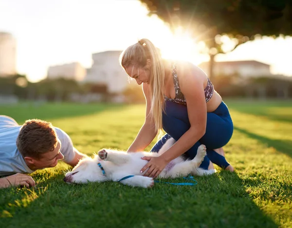 Pareja jugando con adorable cachorro perro — Foto de Stock