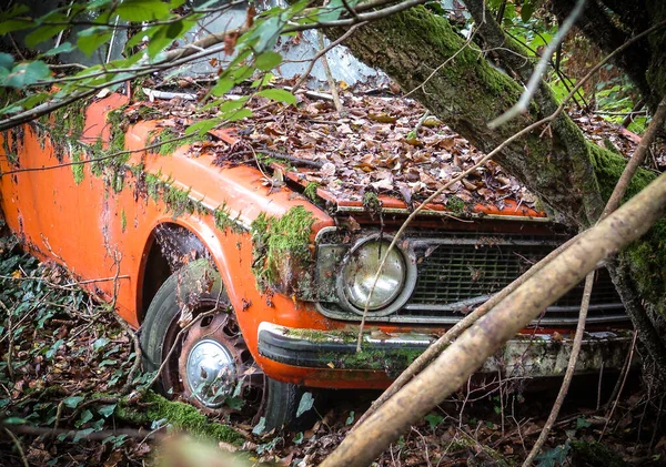 Old wrecked car crashed in the forest — Stock Photo, Image