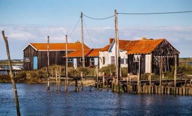 La Tremblade, Fransa 'da istiridye çiftliği.