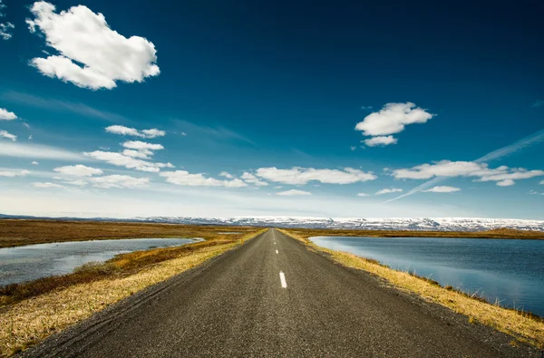 Route asphaltée entre prairie et eau — Photo
