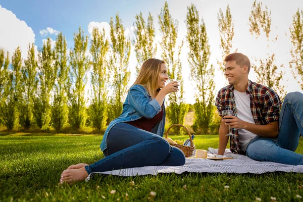 Schönes Paar macht Picknick — Stockfoto