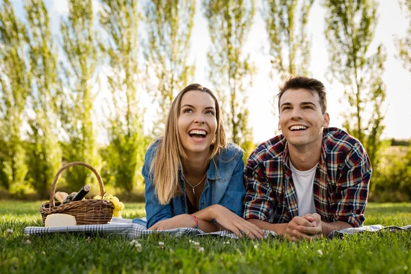 Beautiful couple making picnic — Stock Photo, Image