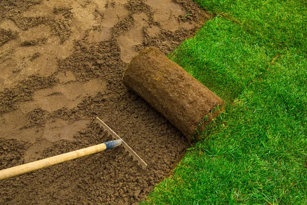 Jardinero aplicando rollos de césped — Foto de Stock