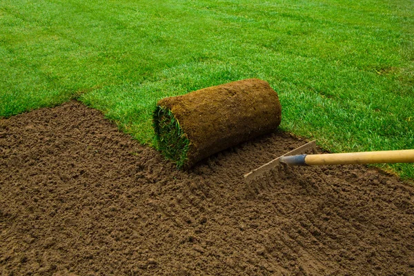 Jardineiro aplicando rolos de relva — Fotografia de Stock