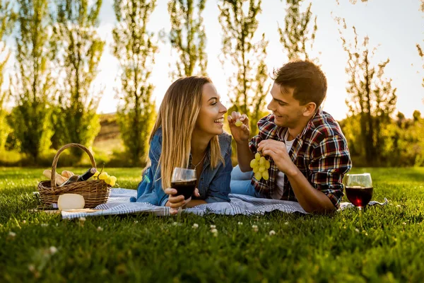 Par som gjør piknik – stockfoto