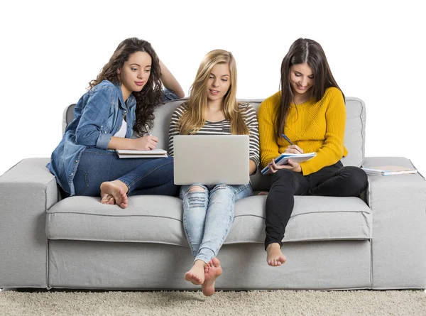 Chicas estudiando en casa —  Fotos de Stock