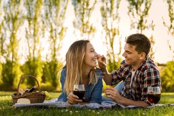 Szczęśliwa para Dokonywanie piknik — Zdjęcie stockowe