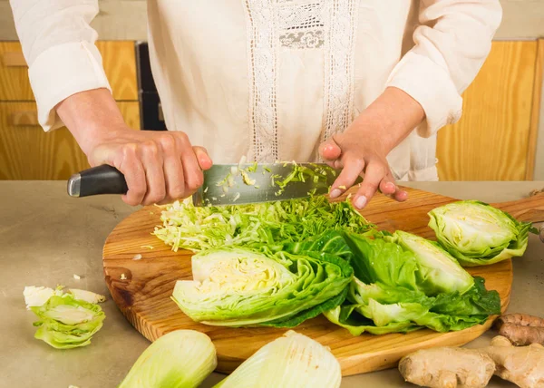 Cabbage kimchi and sauerkraut — Stock Image Cabbage kimchi and sauerkraut Stock Image