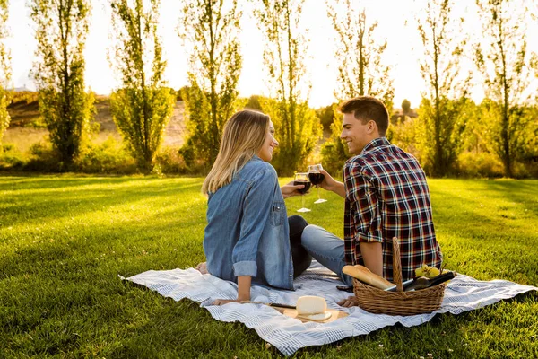 Pareja haciendo un brindis en el parque — Foto de Stock