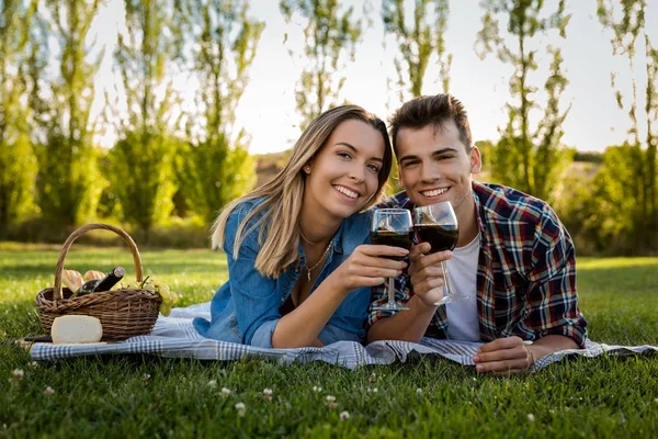 Pareja bebiendo vino en el picnic — Foto de Stock