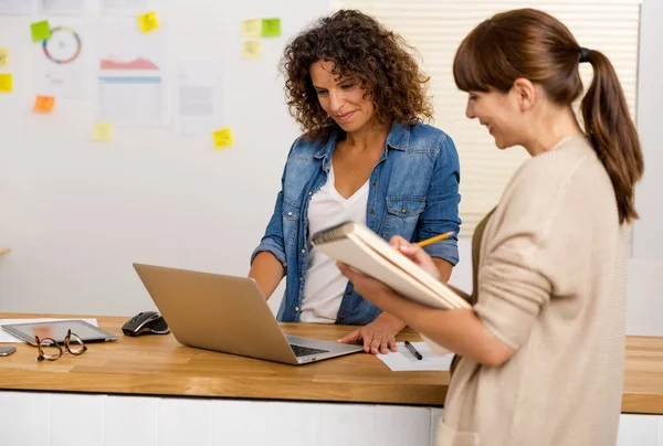 Vrouwelijke ondernemers werken samen in kantoor — Stockfoto