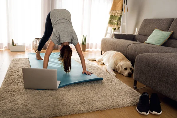 Žena, která dělá cvičení jógy, s psem — Stock fotografie