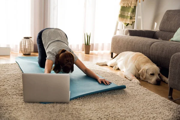 Donna che fa esercizio di yoga con cane — Foto Stock