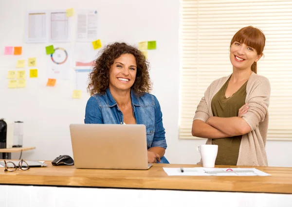 Vrouwelijke ondernemers samen te werken — Stockfoto