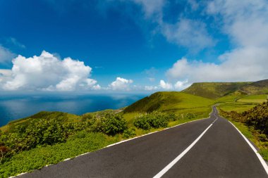 Empty road with green fields by sides in Flores Island, Azores, Portugal clipart