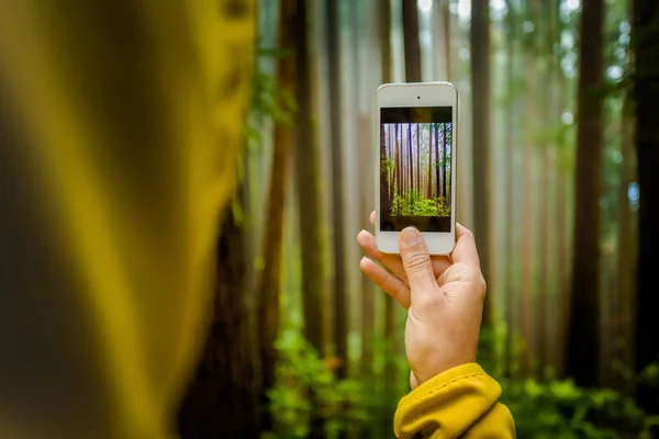 Woman Taking Photo Forest Smartphone — Stock Photo, Image