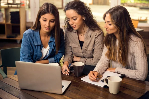 Grupp Kvinnliga Vänner Använder Laptop Och Dricka Kaffe — Stockfoto