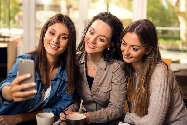 Grupp Kvinnliga Vänner Att Göra Selfie Studier — Stockfoto