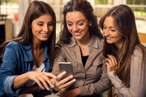 Groepen Van Vriendinnen Maken Selfie Tijdens Een Onderbreking Van Studies — Stockfoto