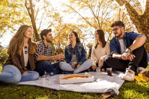 Friends making picnic with pizza in park