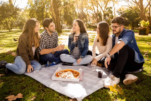 朋友做野餐与比萨在公园 — 图库照片