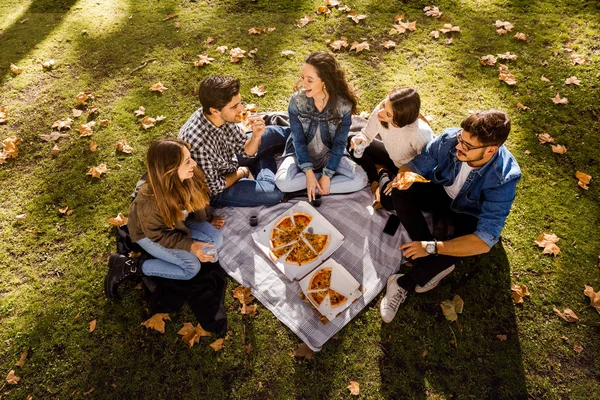 Friends making picnic with pizza in park
