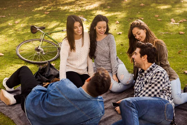 Grupo Amigos Sentados Césped Parque Con Bicicleta — Foto de Stock