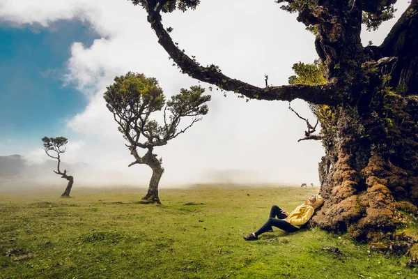 Vrouw Rustend Bij Een Oude Boom Genietend Van Het Uitzicht — Stockfoto