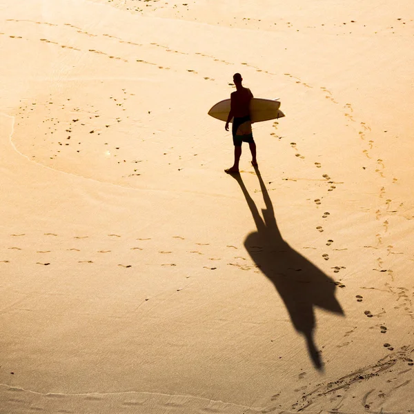 Let's Surf — Stock Photo, Image