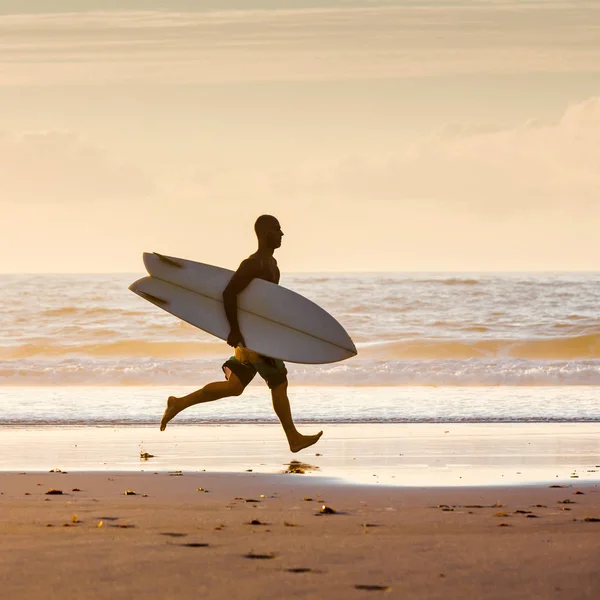 Vamos surfar. — Fotografia de Stock