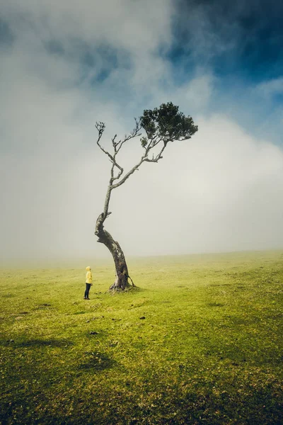 Só eu e a Natureza — Fotografia de Stock