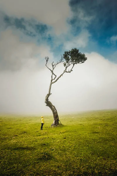 Utazó Érzi Természet Erejét Egy Ősi Erdőben — Stock Fotó